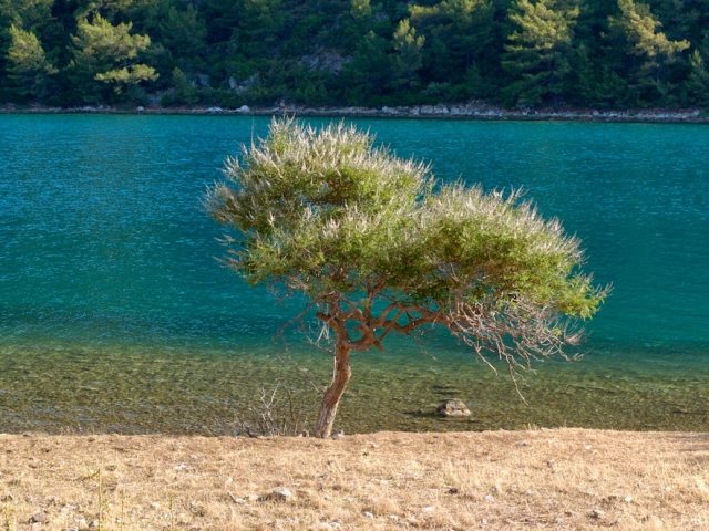 Welcome to the Bozburun Peninsula, Turkey